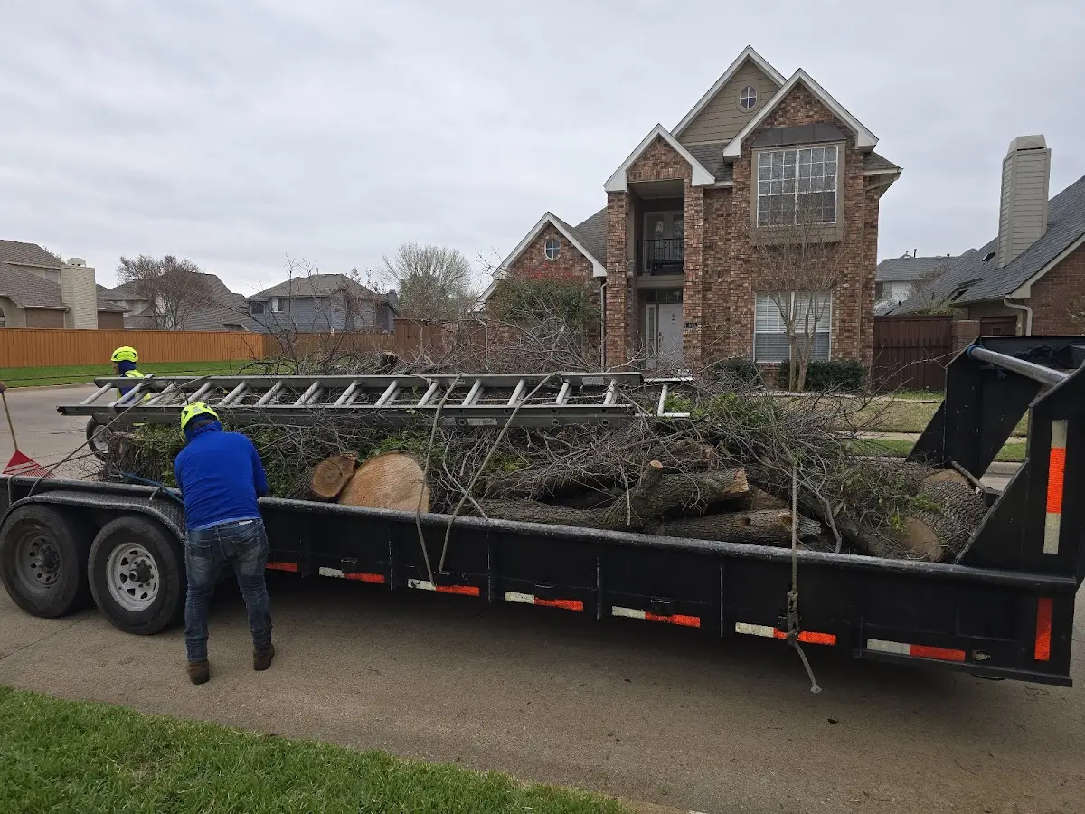 Expert Tree Removal with proper safety equipment in Benton